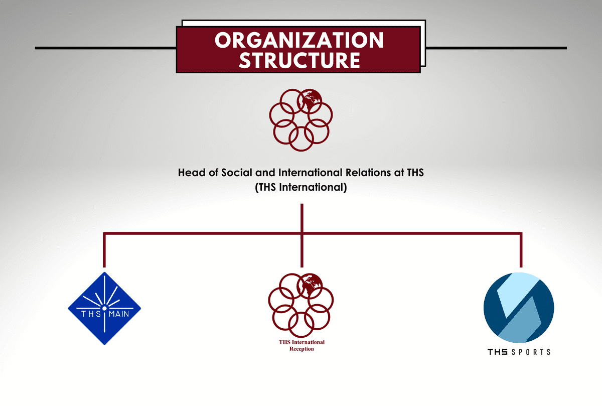 ths international organizational structure